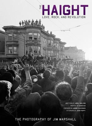 The Haight book cover