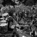 Jimi Hendrix, Summer of Love, at the Panhandle