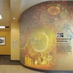 Wells Fargo wall mural